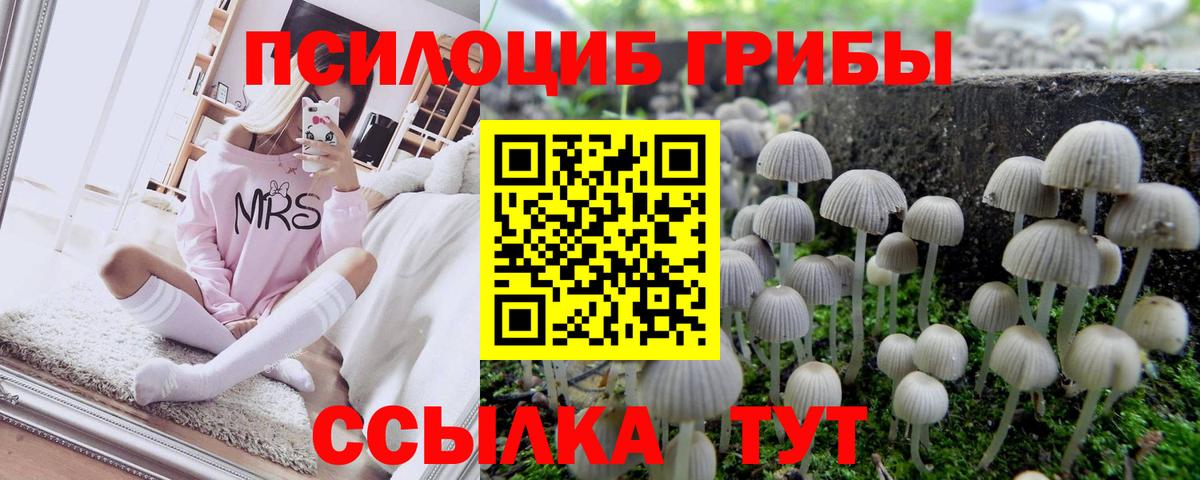Псилоцибиновые грибы MAGIC MUSHROOMS Рузаевка