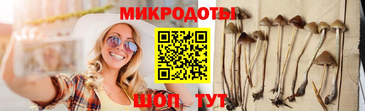 Рузаевка  Псилоцибиновые грибы MAGIC MUSHROOMS  Вход с VPN 
